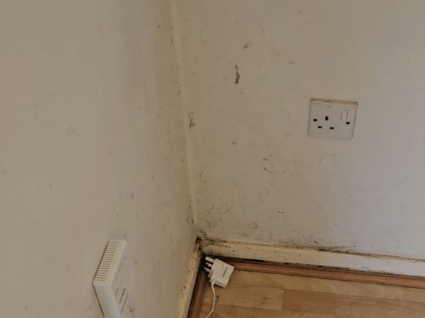 30 Pelham Road, Thame before, photo 4 of 4